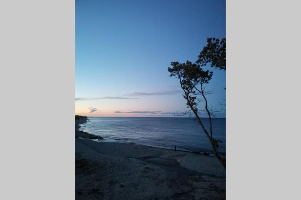 Marine De Bravone T2 Terrasse Front De Mer - Plage Pieds Dans L'Eau - Clim - Piscine - Wifi Linguizzetta Exteriör bild