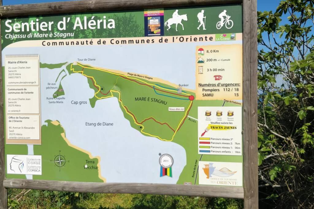 Marine De Bravone T2 Terrasse Front De Mer - Plage Pieds Dans L'Eau - Clim - Piscine - Wifi Linguizzetta Exteriör bild