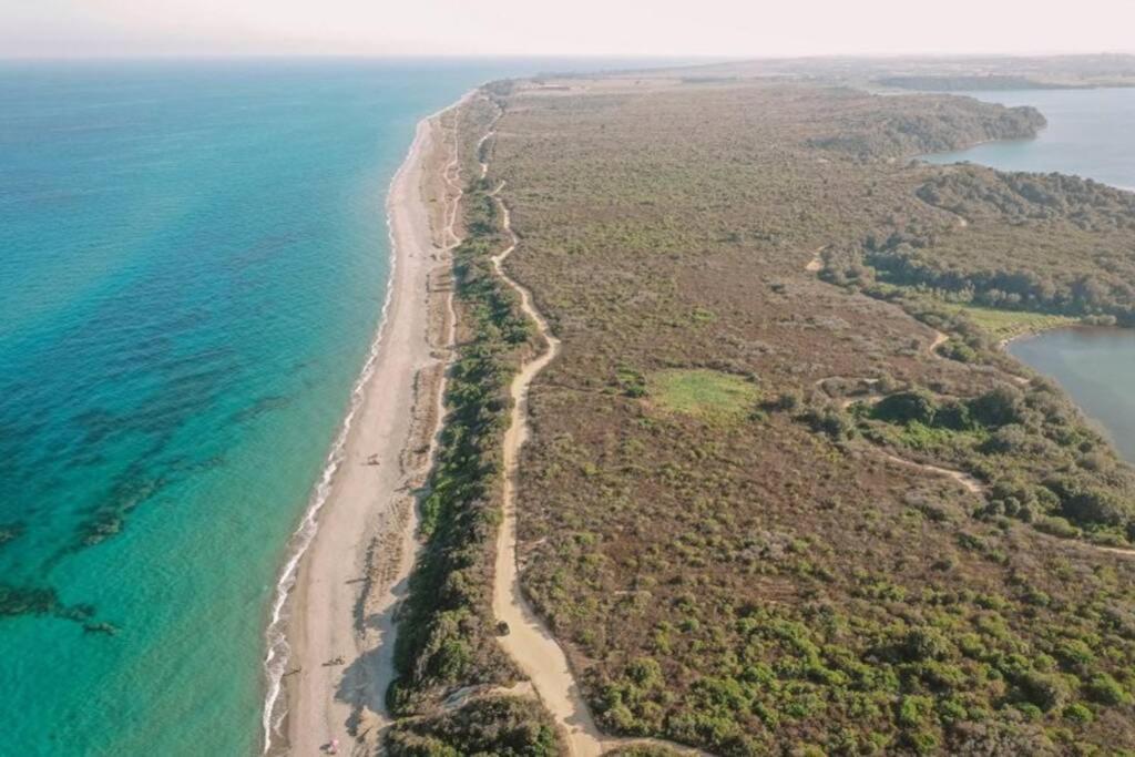 Marine De Bravone T2 Terrasse Front De Mer - Plage Pieds Dans L'Eau - Clim - Piscine - Wifi Linguizzetta Exteriör bild