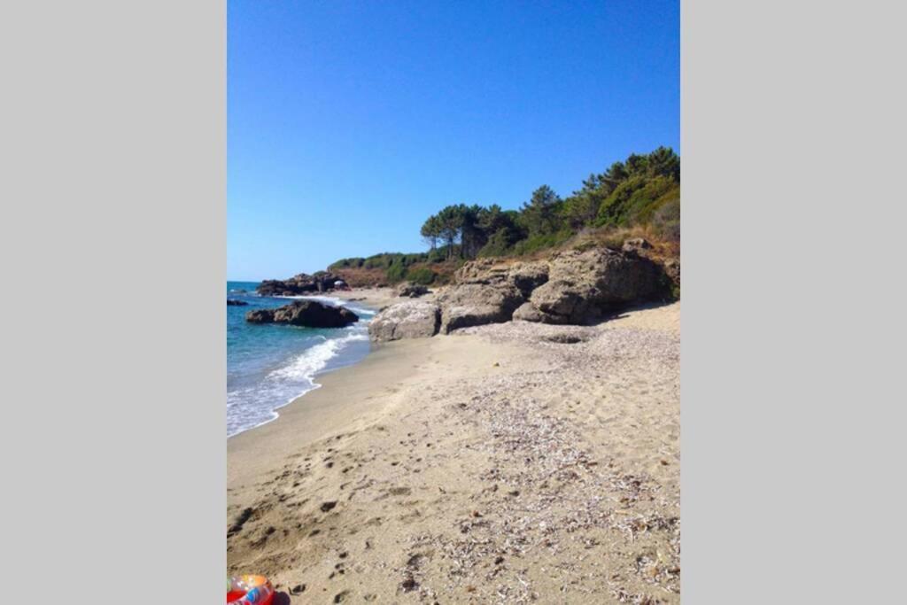 Marine De Bravone T2 Terrasse Front De Mer - Plage Pieds Dans L'Eau - Clim - Piscine - Wifi Linguizzetta Exteriör bild