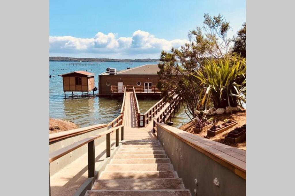 Marine De Bravone T2 Terrasse Front De Mer - Plage Pieds Dans L'Eau - Clim - Piscine - Wifi Linguizzetta Exteriör bild