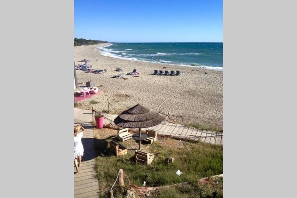 Marine De Bravone T2 Terrasse Front De Mer - Plage Pieds Dans L'Eau - Clim - Piscine - Wifi Linguizzetta Exteriör bild