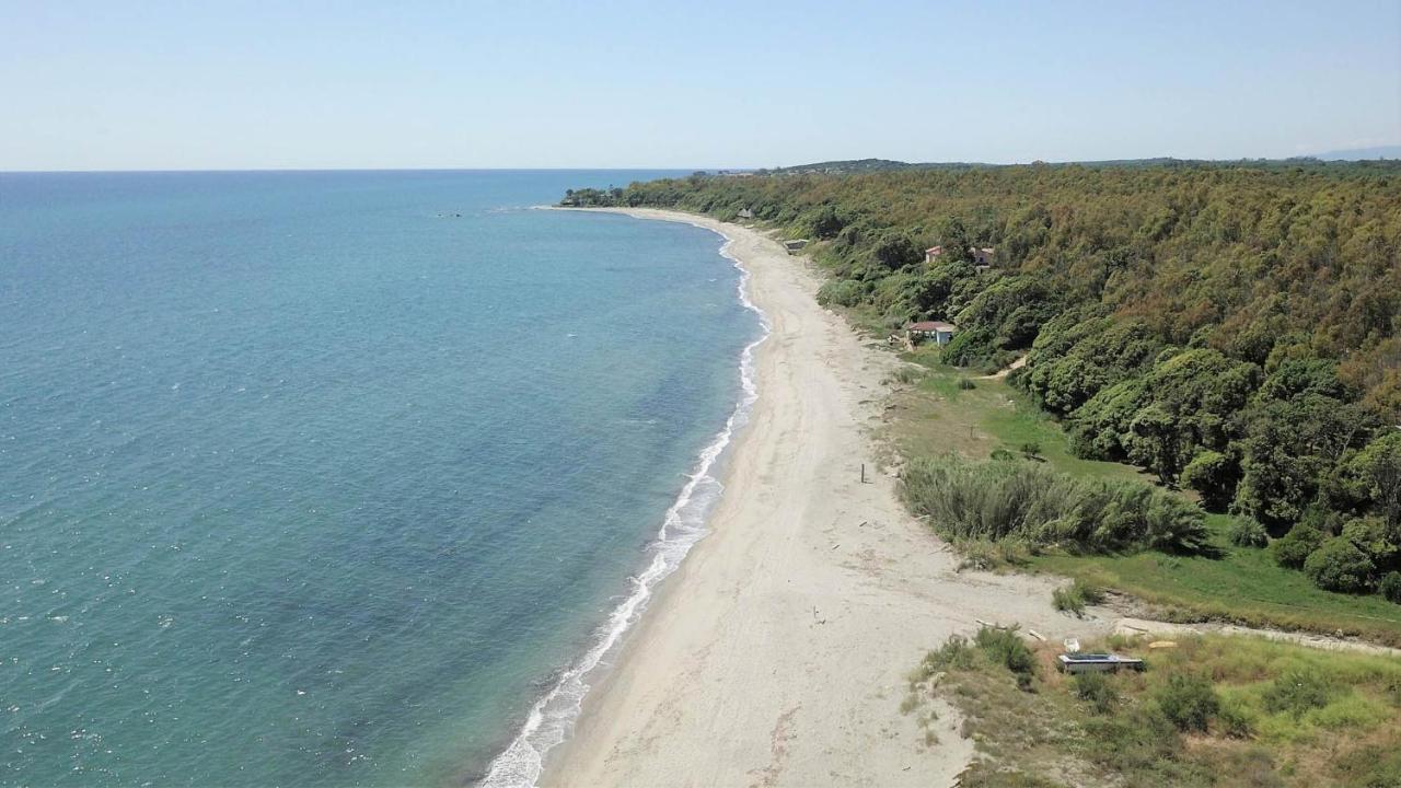 Marine De Bravone T2 Terrasse Front De Mer - Plage Pieds Dans L'Eau - Clim - Piscine - Wifi Linguizzetta Exteriör bild