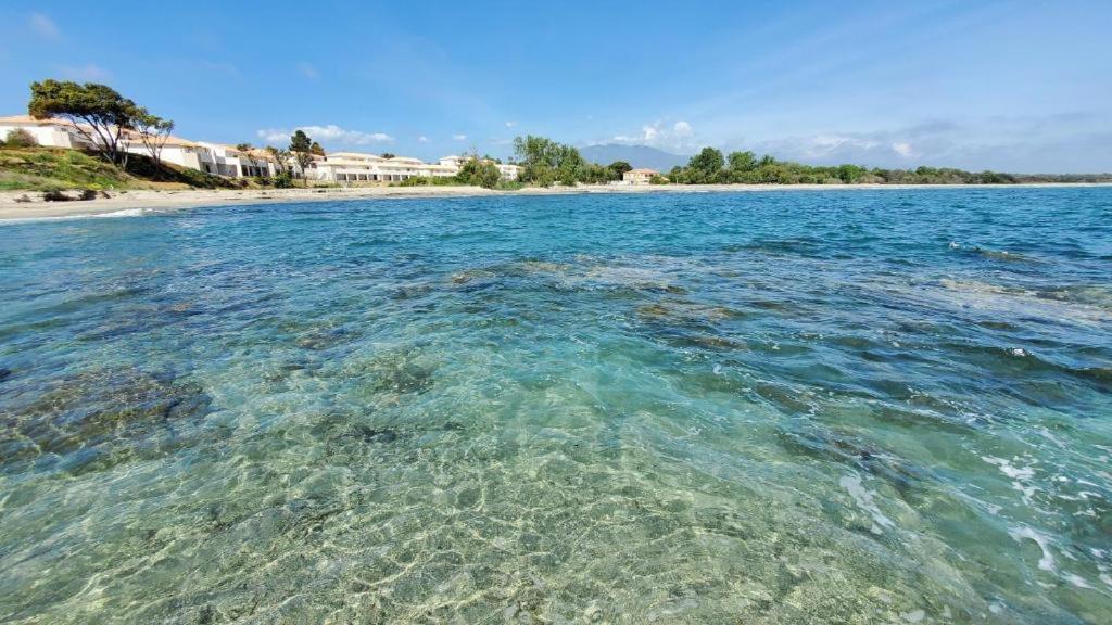 Marine De Bravone T2 Terrasse Front De Mer - Plage Pieds Dans L'Eau - Clim - Piscine - Wifi Linguizzetta Exteriör bild